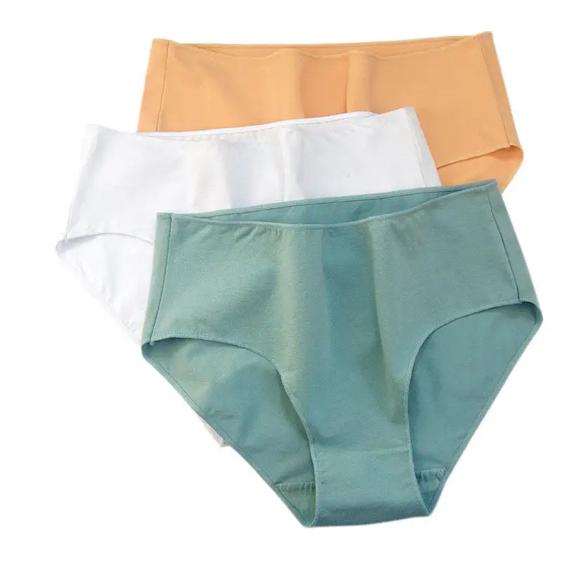 Plus Size High Waist Soft Touch Brief Panty
