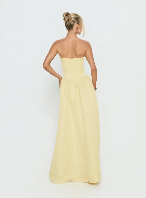 Pleated Detail Strapless Maxi Dress