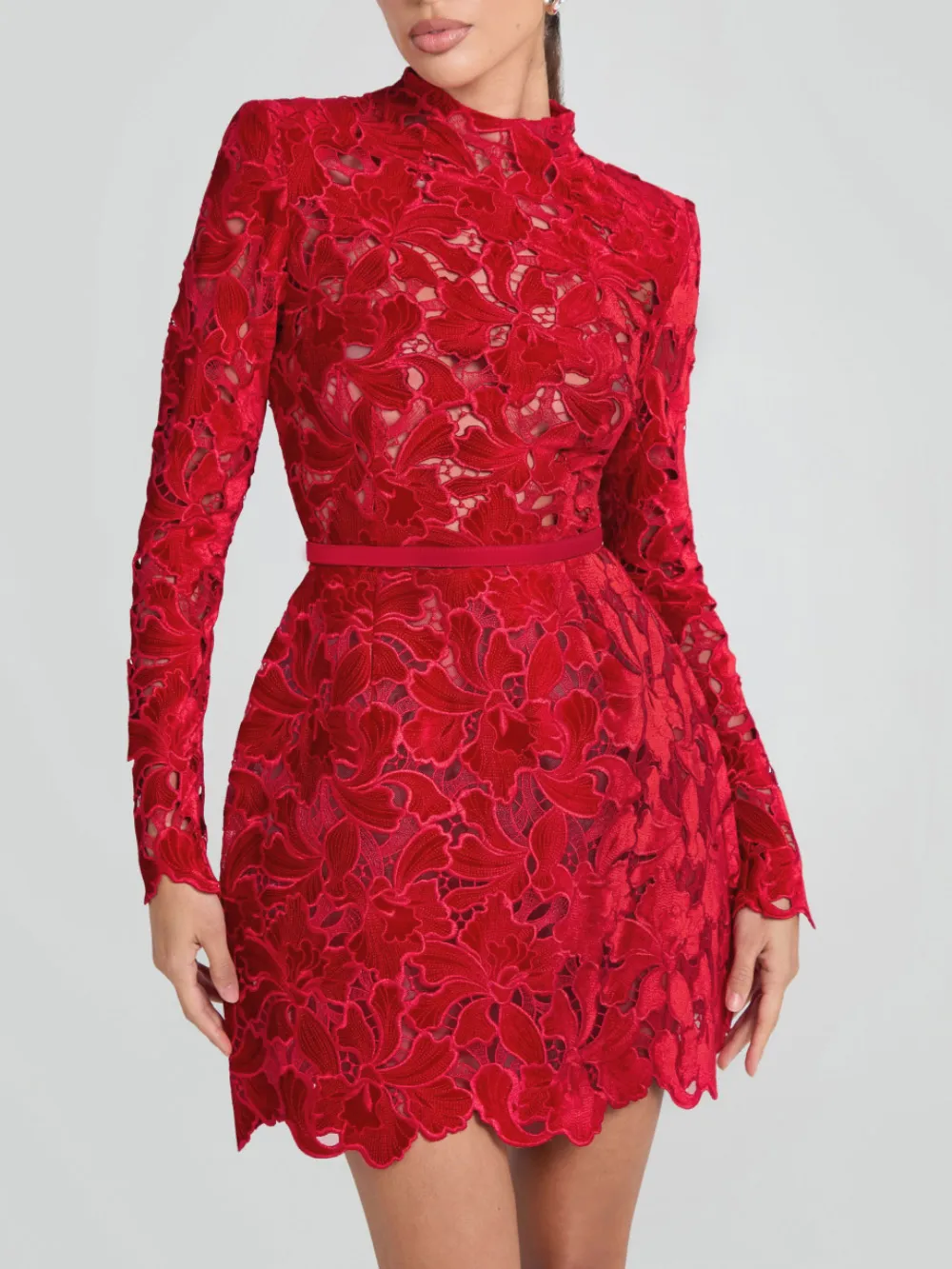 And Sophisticated Lace Elegant Mini Dress