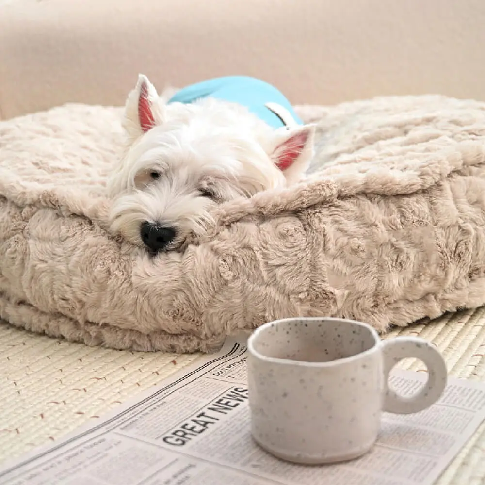 Warming Fluffy Round Cloud Shape Claiming Dog Bed