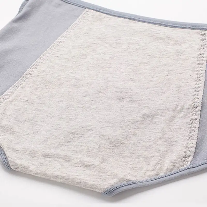 Everyday Plus Size High Waist Soft Touch Brief Panty