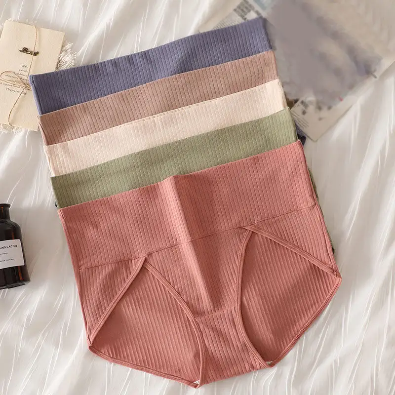 Everyday Plus Size High Waist Soft Touch Brief Panty