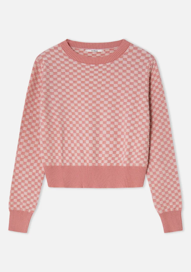 CORAL PICNIC SWEATER