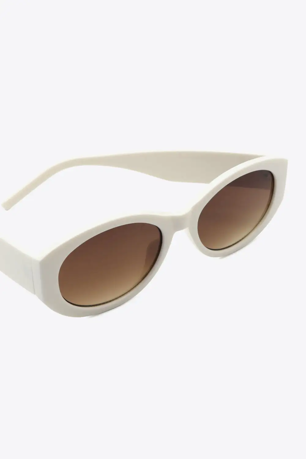 Minimal Everyday Tinted Frame Sunglasses