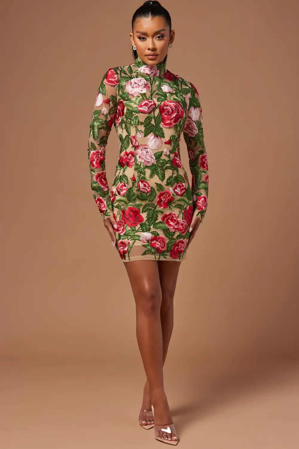 The Garden Scene Embroidered Mini Dress - Red/combo