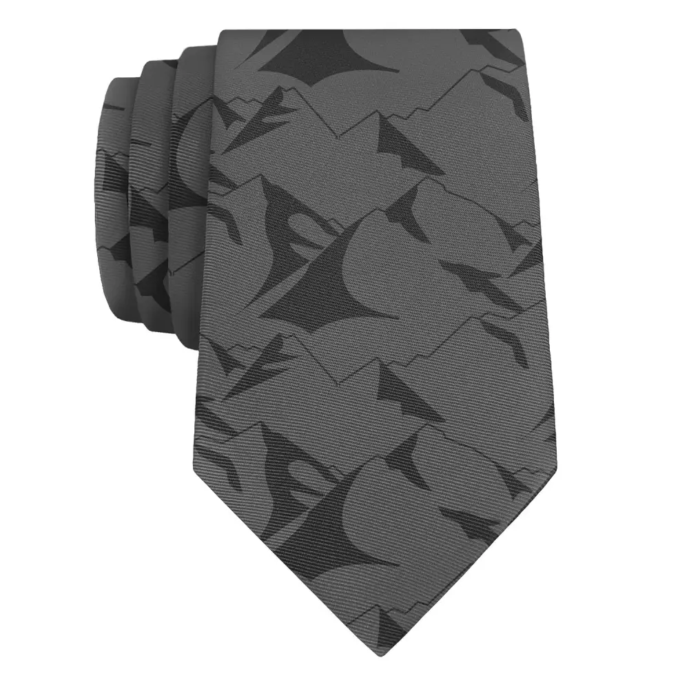 Refined Sports Accent Necktie