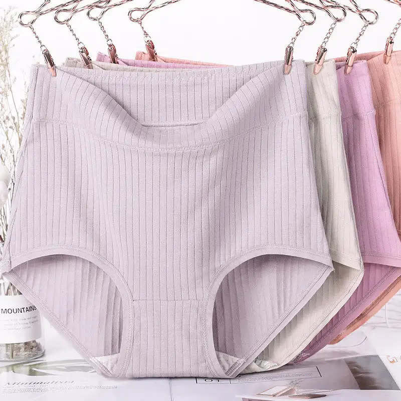 Plus Size High Waist Soft Touch Brief Panty