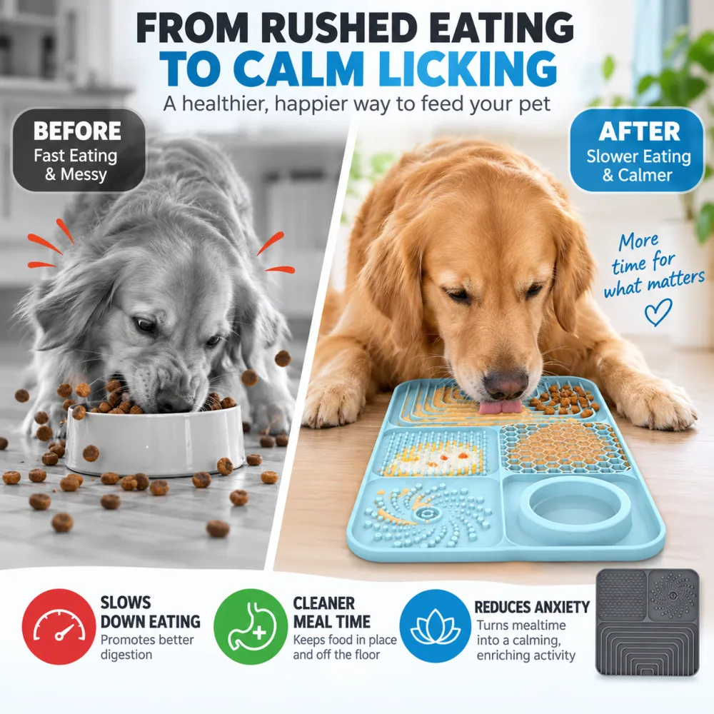 Pet slow feeder bowl