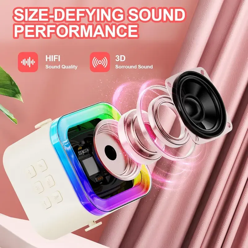 Portable karaoke sound system