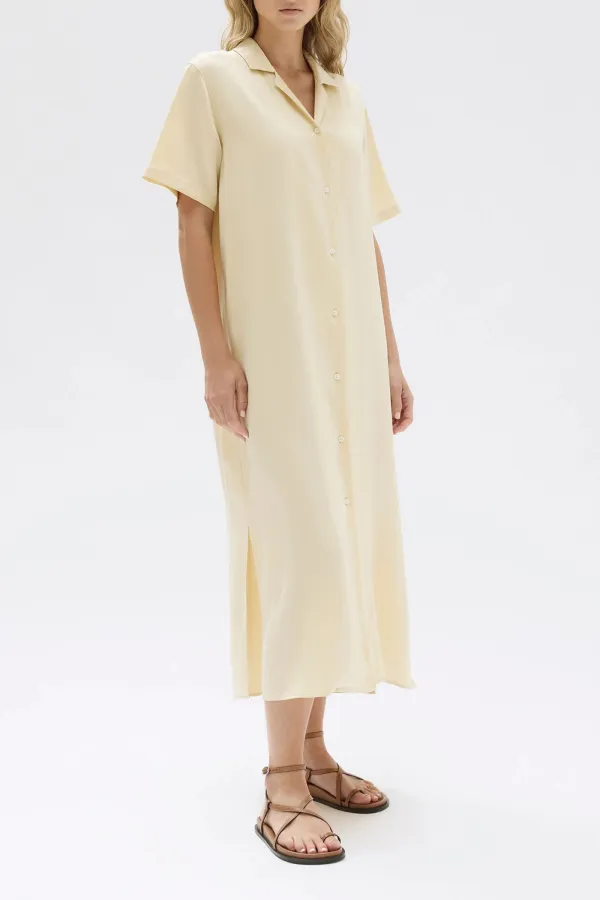 Box Pleated Silk Shirt Dress