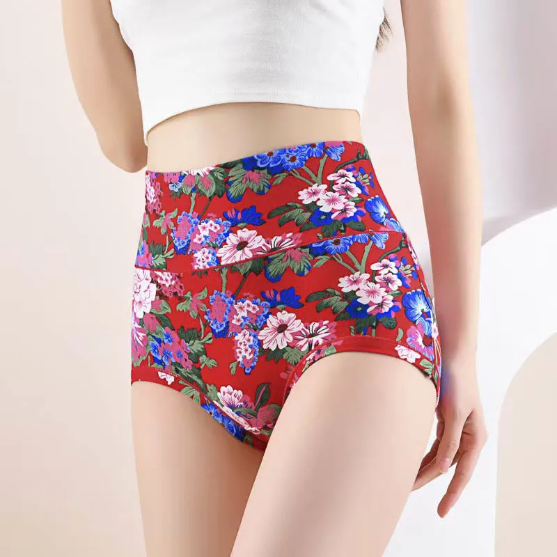 Plus Size High Waist Print Panty
