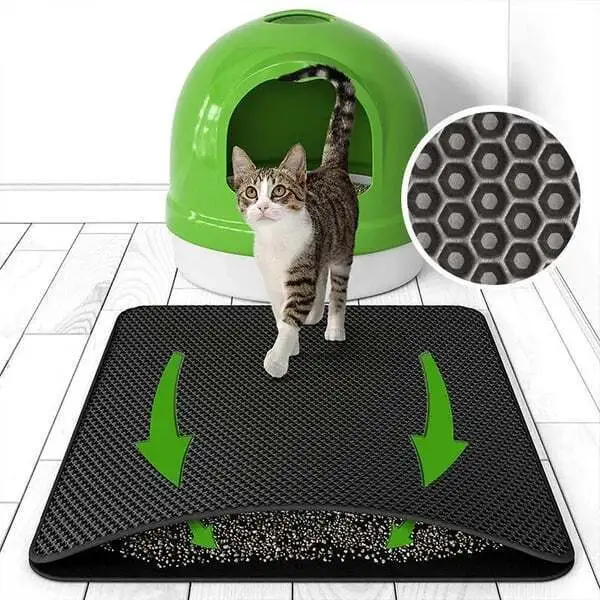 ❤️The Best Gift For Your Cat