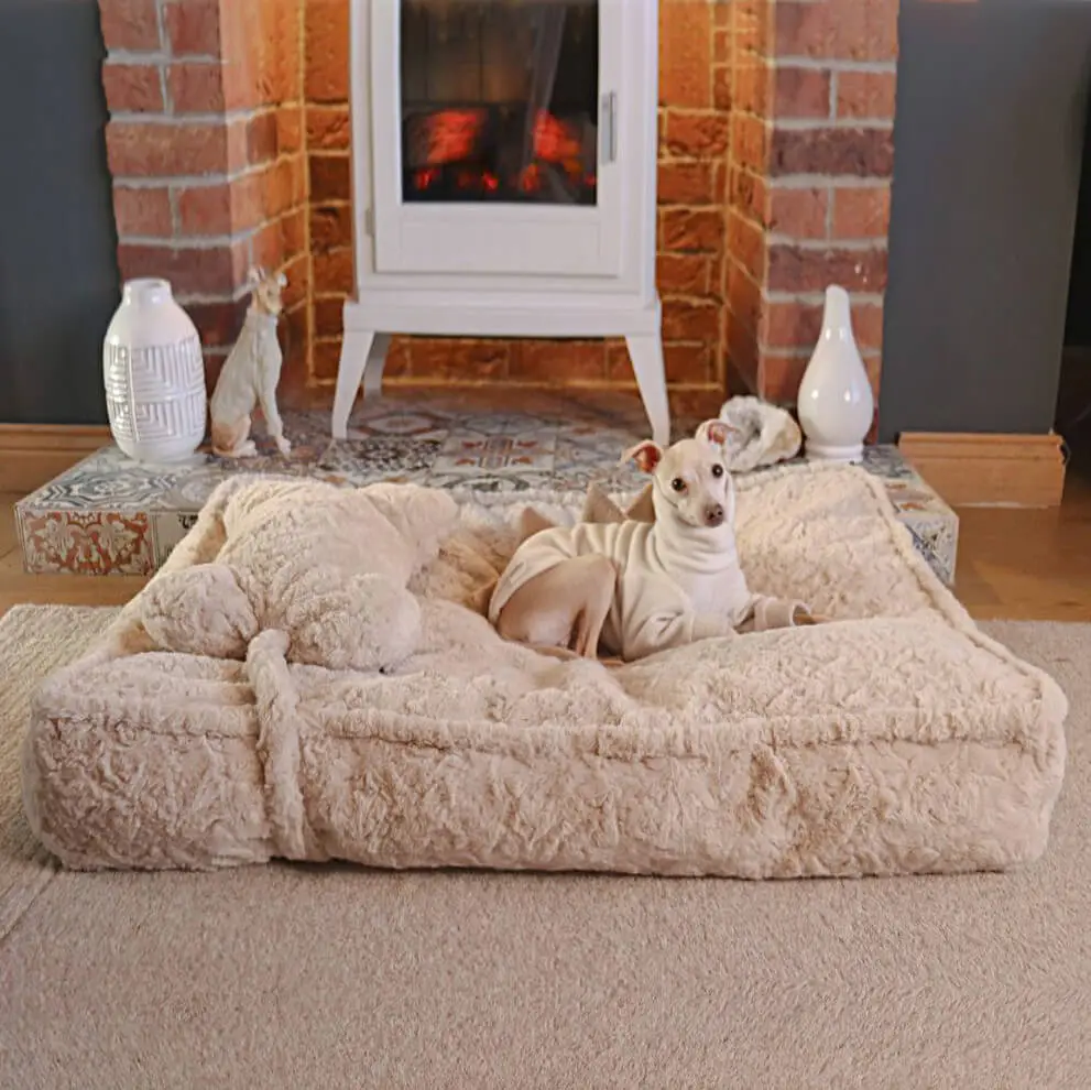 Warming Fluffy Bone Cloud Shape Claiming Dog Bed