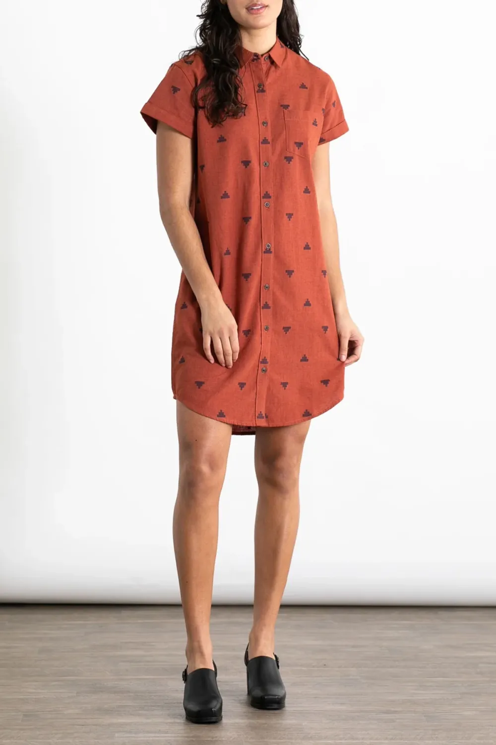 The Loren Shirt Dress