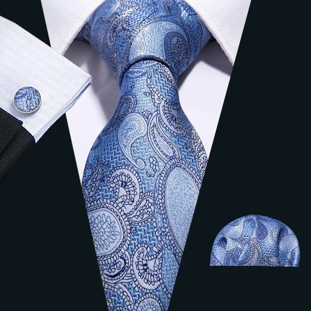 Casual Paisley Silk Necktie Set