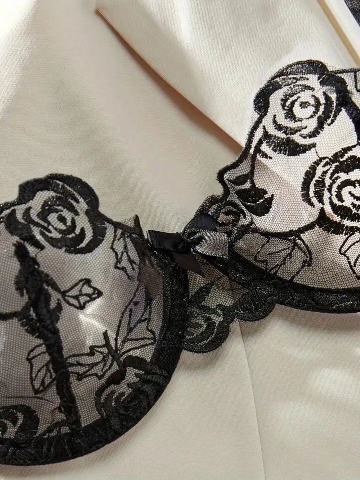 Embroidered Sheer Bra And Panty Set