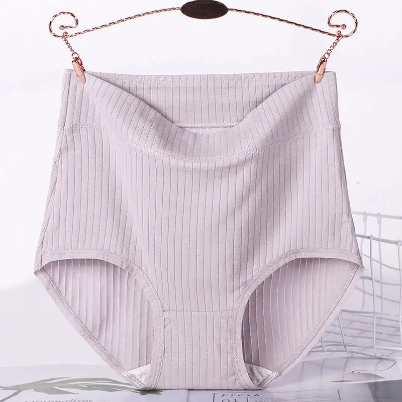 Plus Size High Waist Soft Touch Brief Panty
