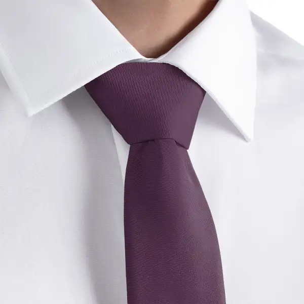 Refined Solid Statement Necktie