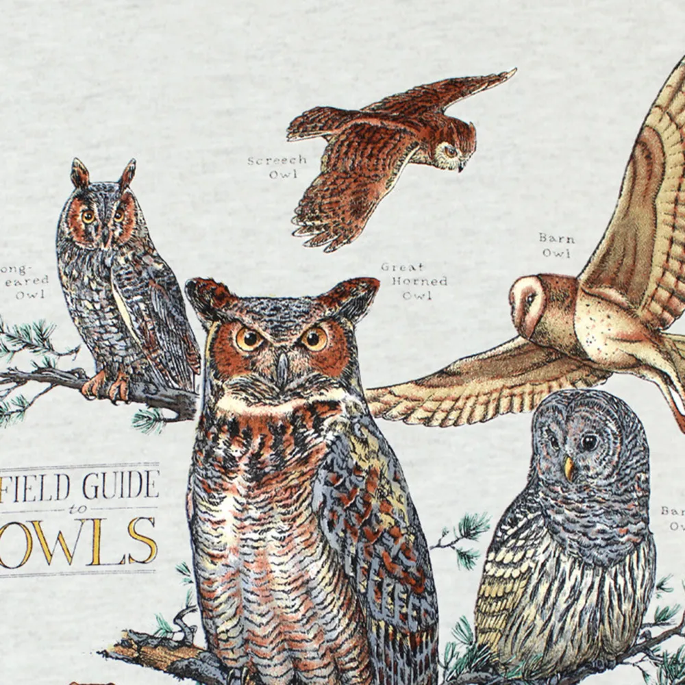 Owl Print Round Neck Long Sleeved Women's T-Shirt