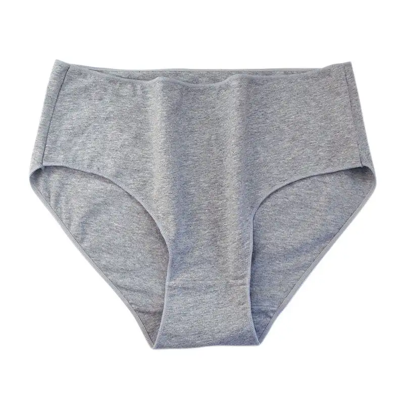 Plus Size High Waist Soft Touch Brief Panty