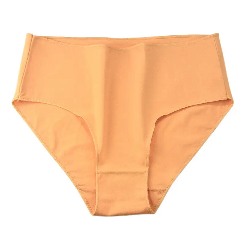 Plus Size High Waist Soft Touch Brief Panty