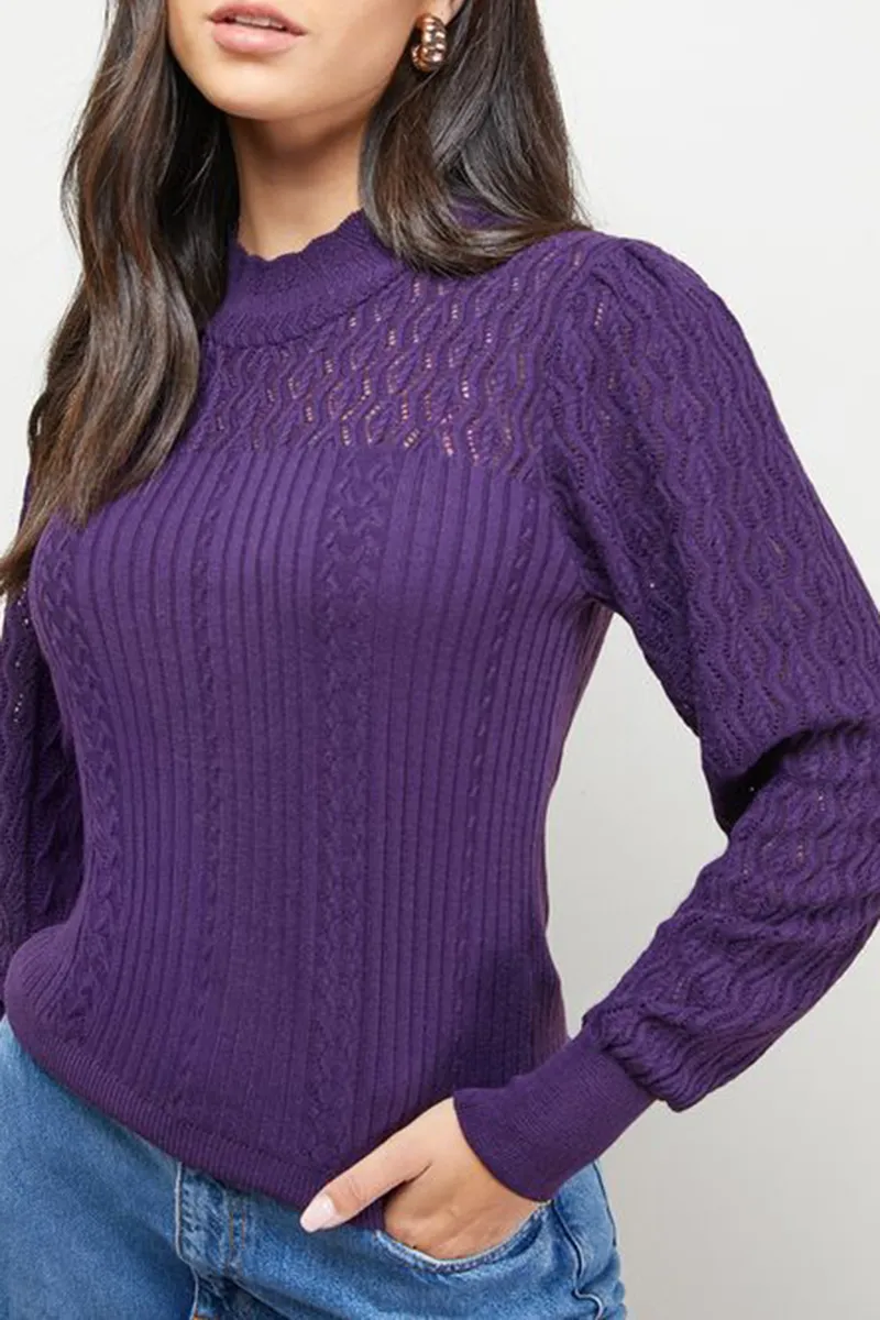 Casual Style High Neck Pointelle Sweaters