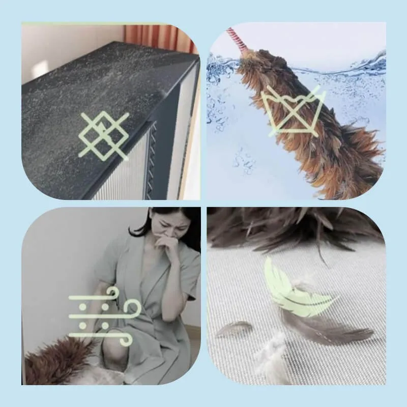 Extendable Telescopic Duster & Dust Brush