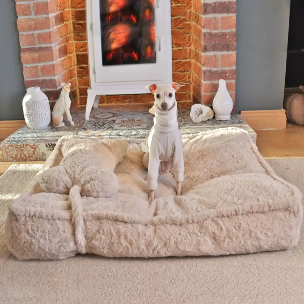 Warming Fluffy Bone Cloud Shape Claiming Dog Bed