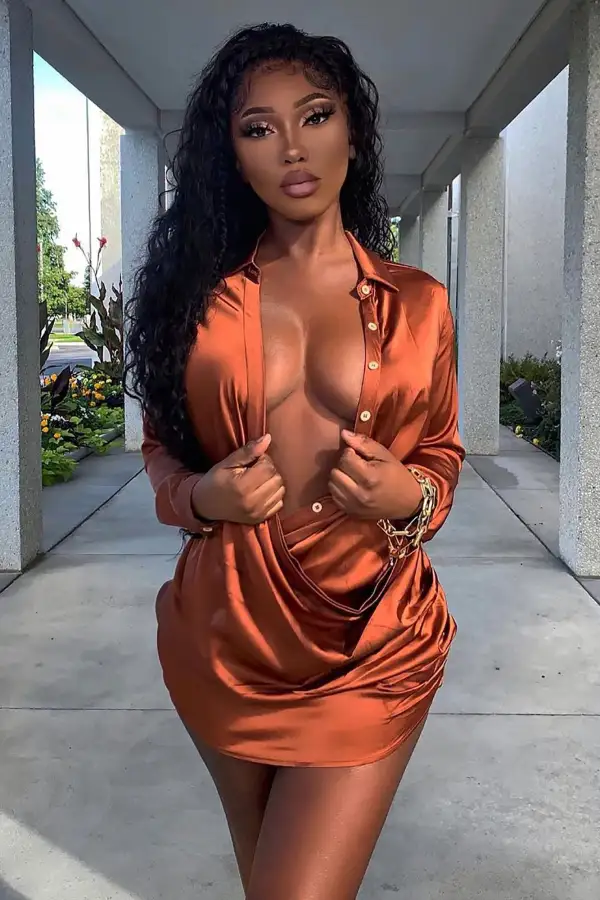 Time Of Your Life Satin Shirt Dress - Brown