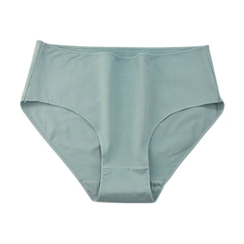 Plus Size High Waist Soft Touch Brief Panty