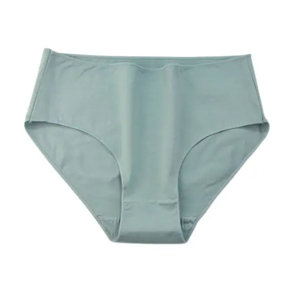 Plus Size High Waist Soft Touch Brief Panty