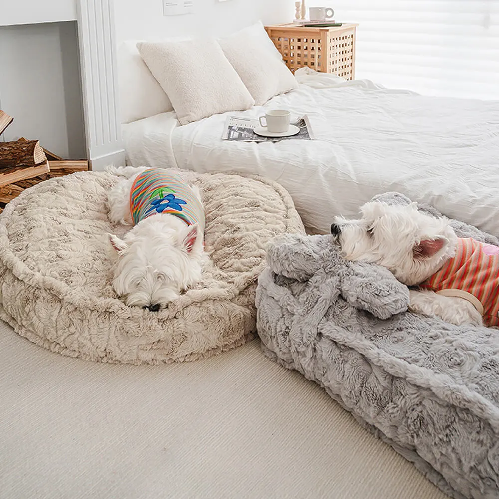 Warming Fluffy Bone Cloud Shape Claiming Dog Bed