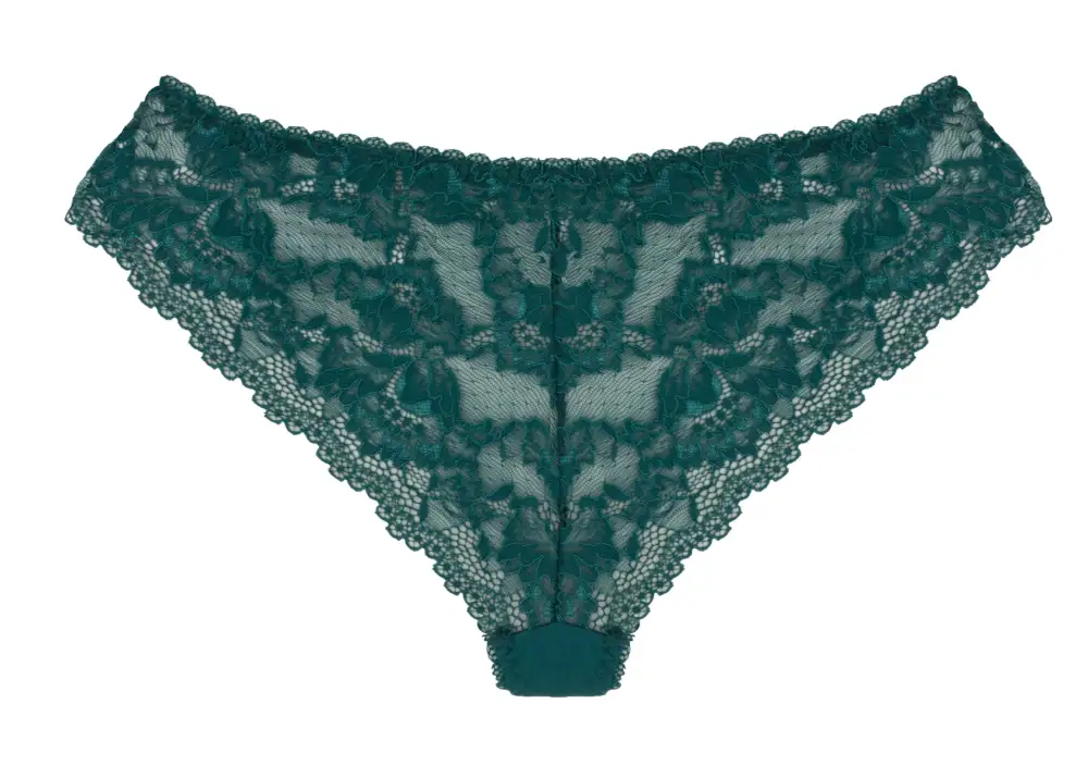 Modern Lace Brazilian Panties
