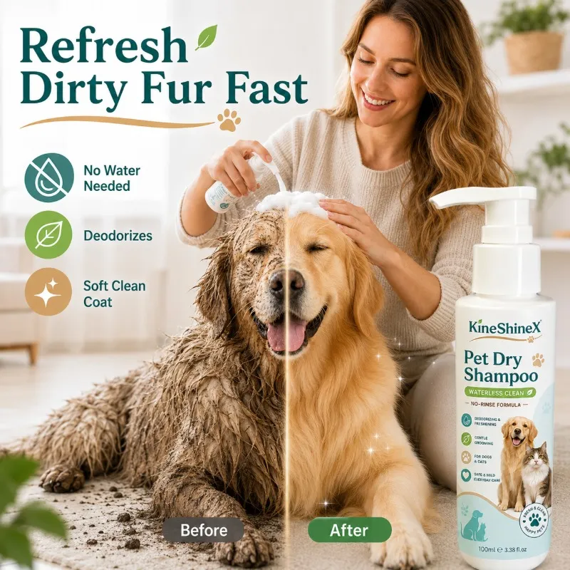Pet dry cleaning foam