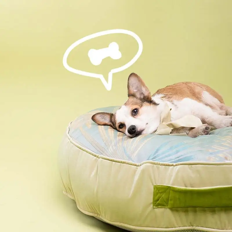 Soft Round Velvet Ice Silk Cooling Dog Bed