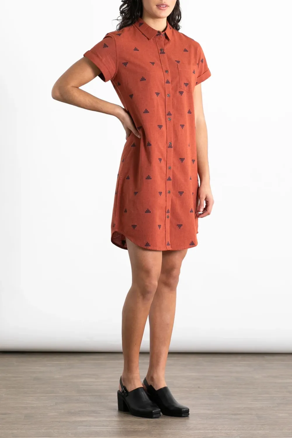 The Loren Shirt Dress