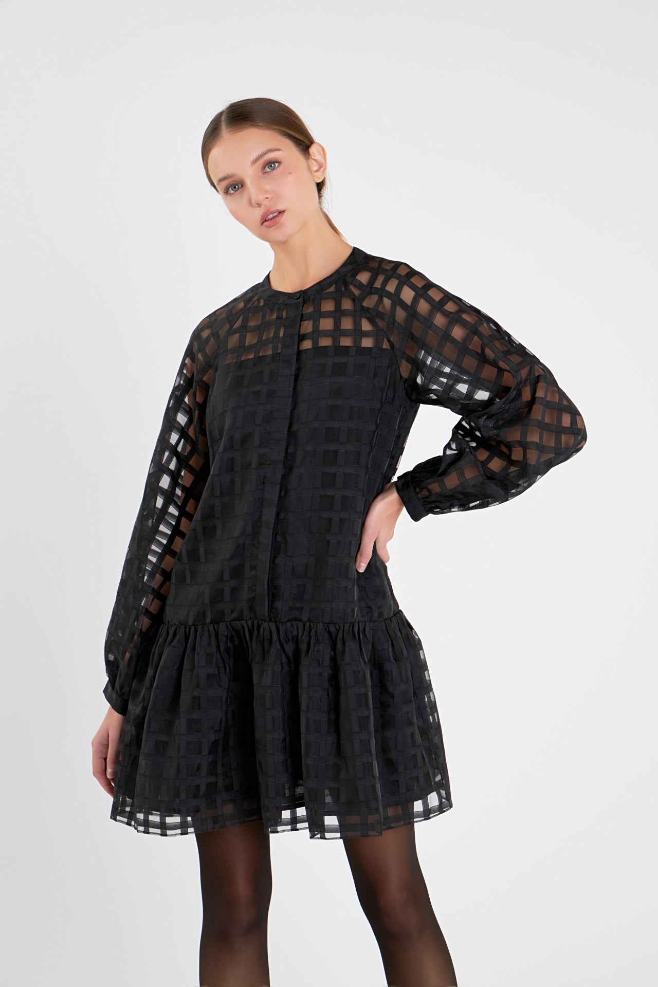 Sheer Checkered Organza Long Sleeve Mini Dress