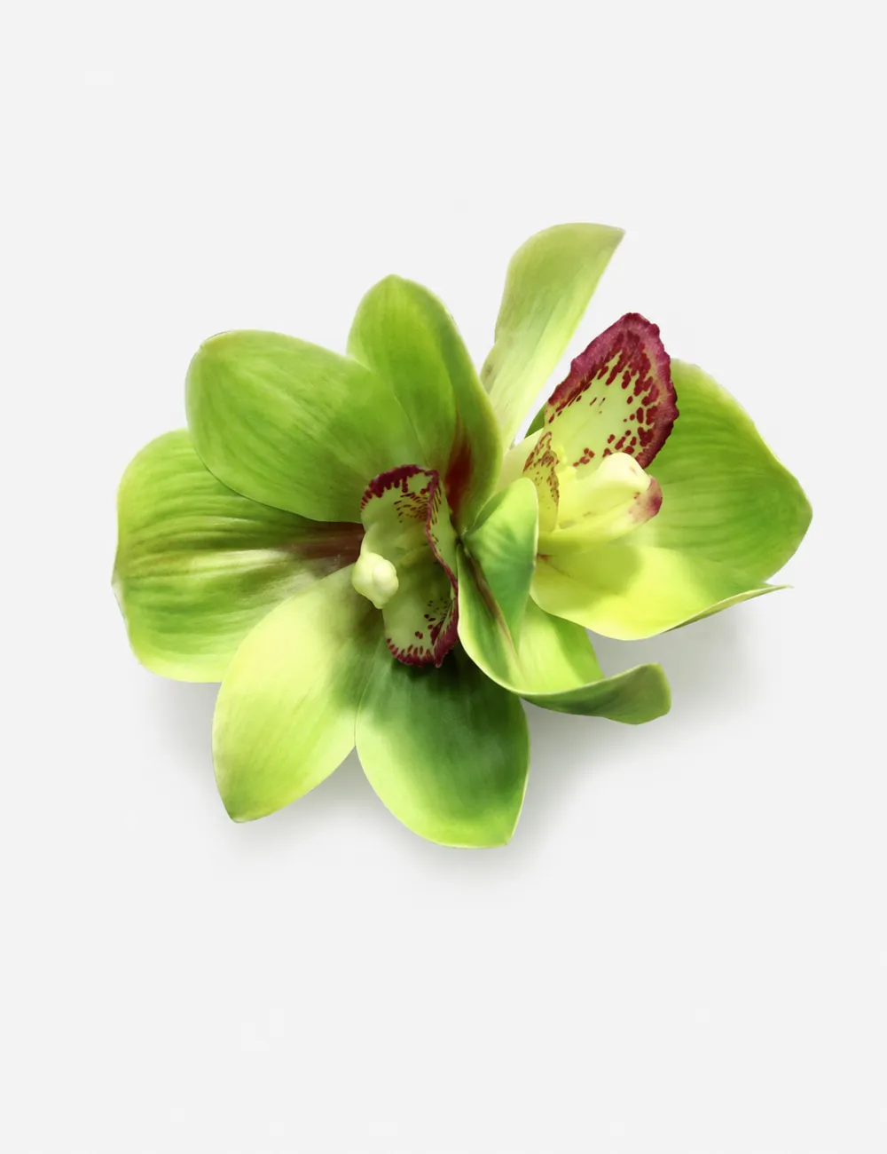 Plumeria Flower Hair Clip