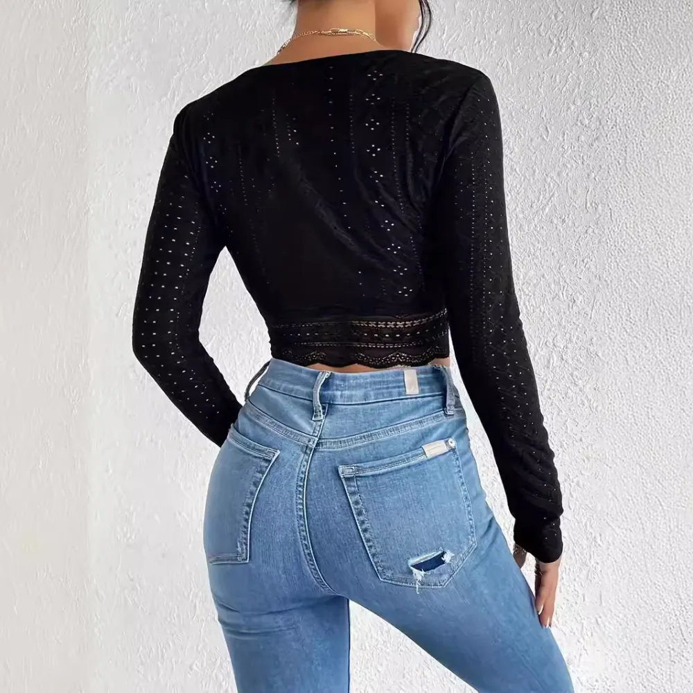Sheer Lace Slim Fit Crop Top
