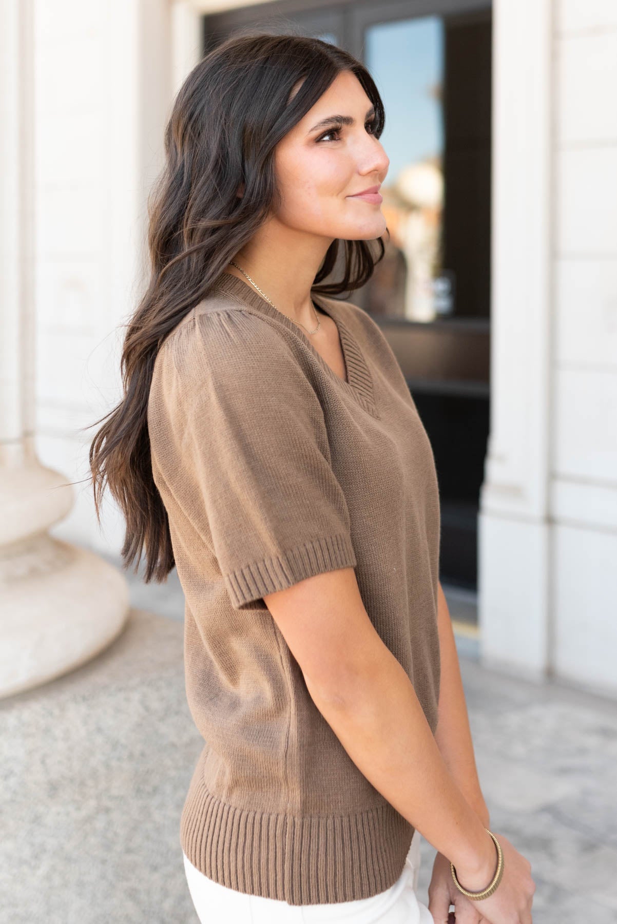 Chesnee Taupe Short Sleeve Sweater