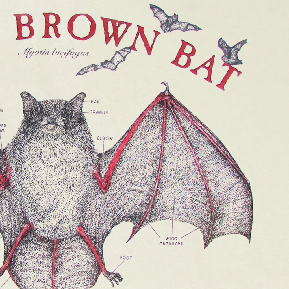 Bat Print Round Neck Long Sleeved Women's T-Shirt