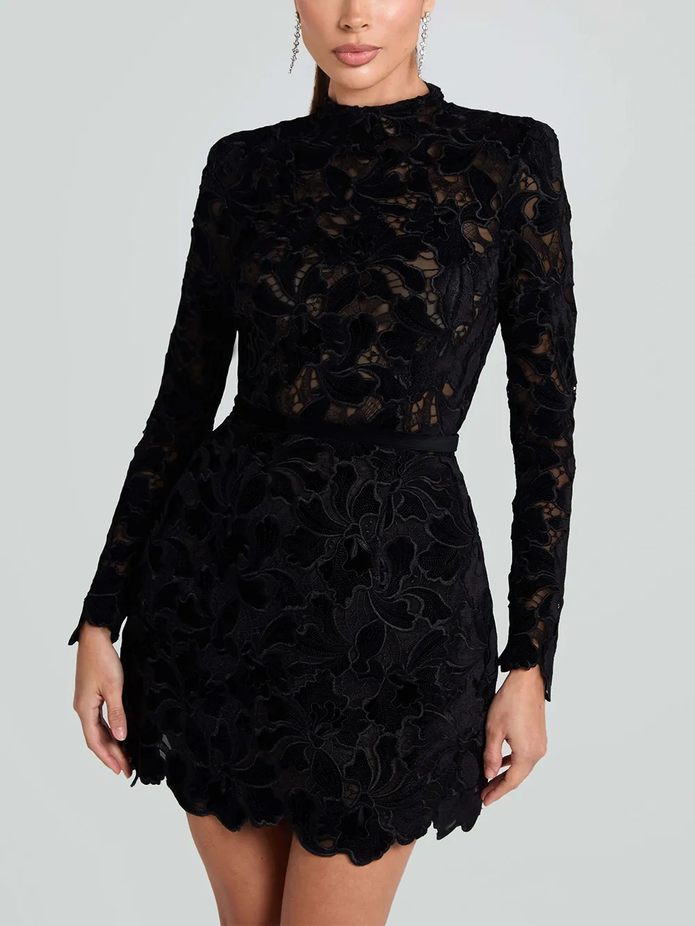 And Sophisticated Lace Elegant Mini Dress