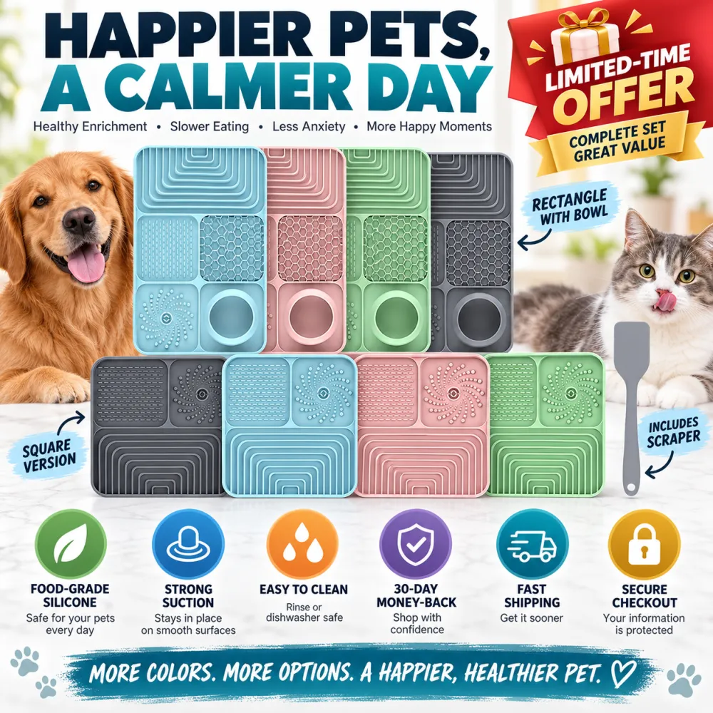 Pet slow feeder bowl