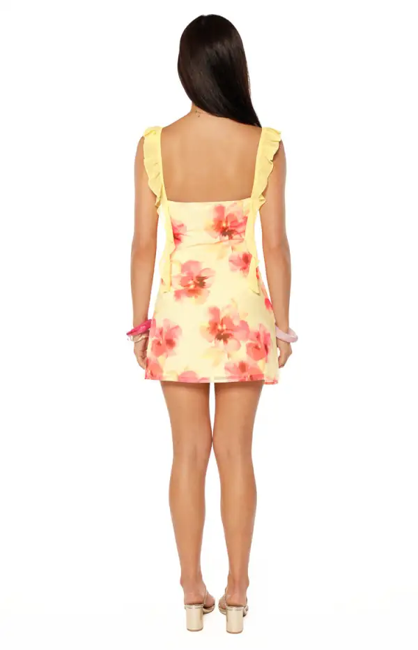 Chiffon Frills Floral Mini Dress