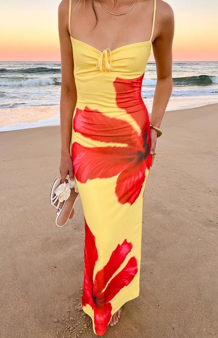Mesh Floral Hibiscus Maxi Dress
