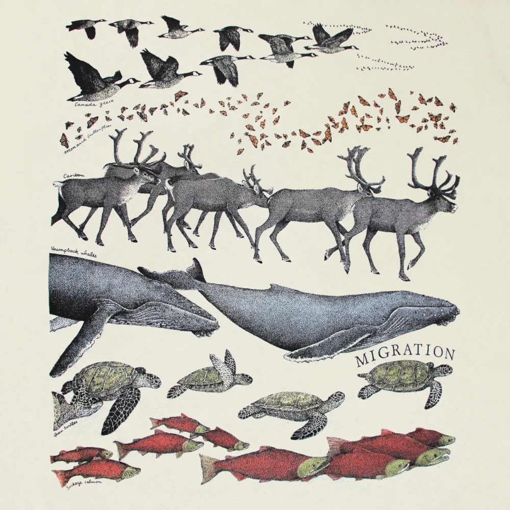 Animal Print Round Neck Long Sleeved Women's Top