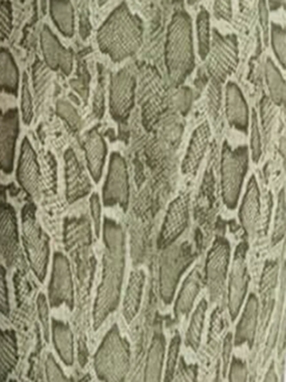 Snakeskin Print Maxi Skirt