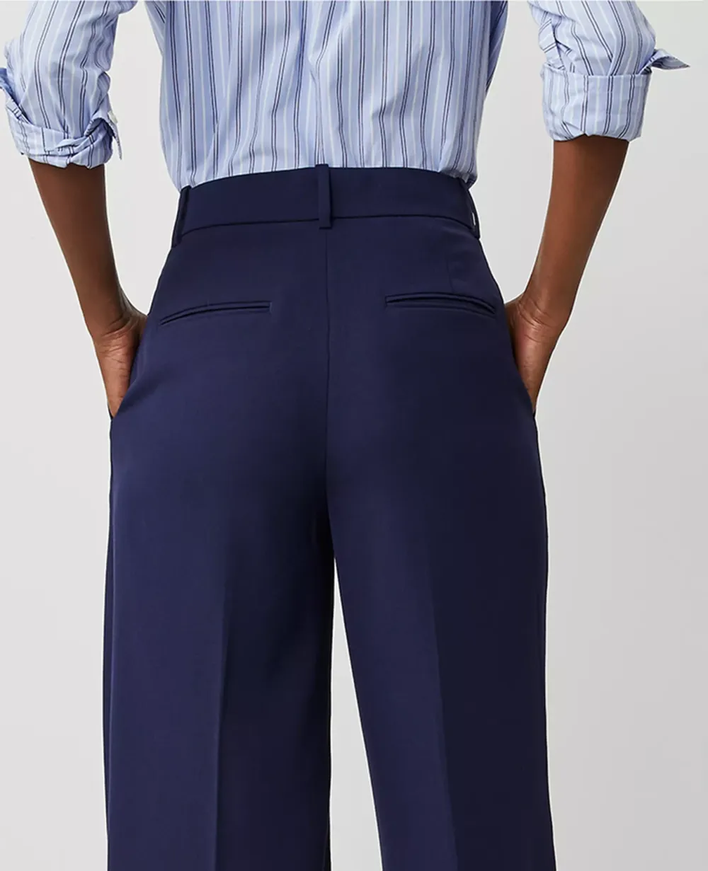 The Pleated Wide-Leg Pant in Textured Drape