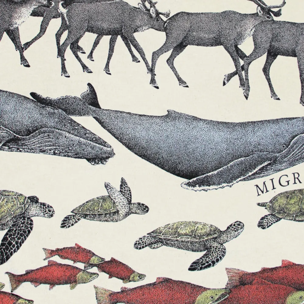 Animal Print Round Neck Long Sleeved Women's Top