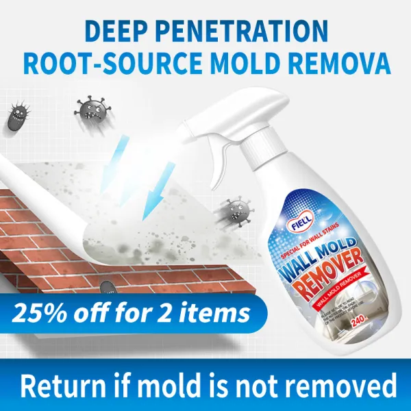 Wall Mold Remover